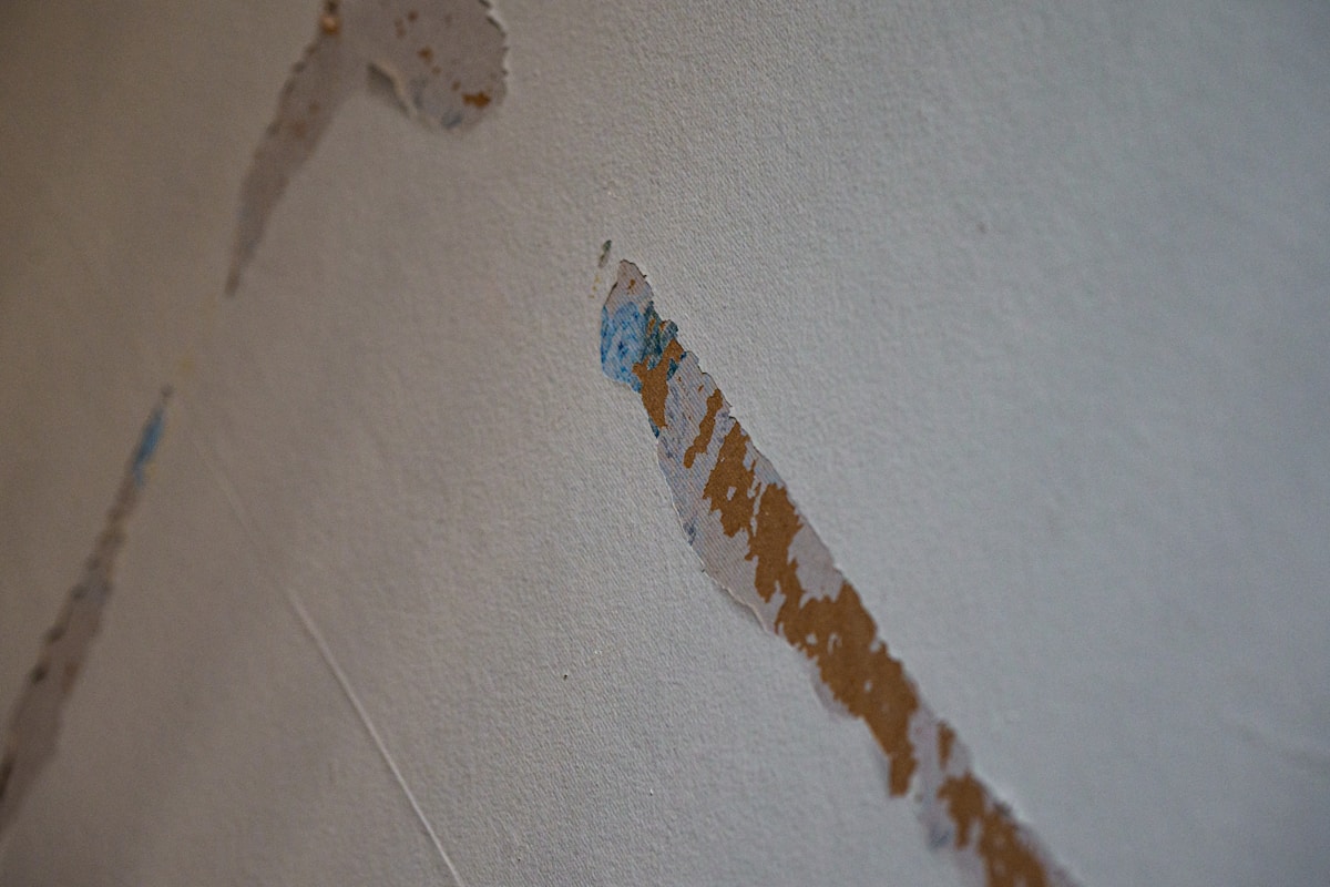 Water Extraction service in Parker, CO